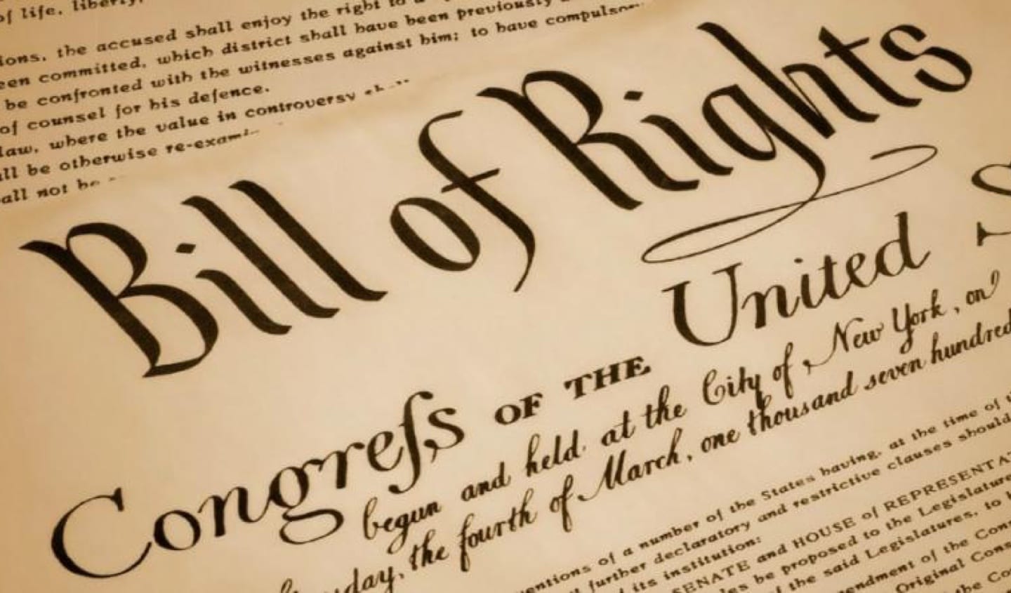 The  Purpose for a Bill of Rights in the United States Constitution