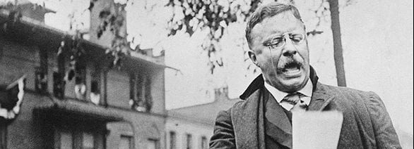 New nationalism theodore roosevelt little blossom new 2020