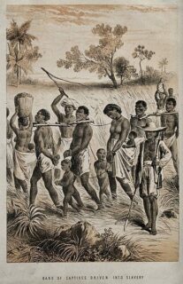 Slavery and Its Consequences