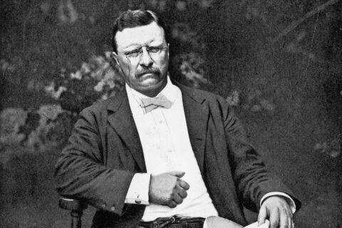 Teddy Roosevelt: The Making of the Modern Presidency
